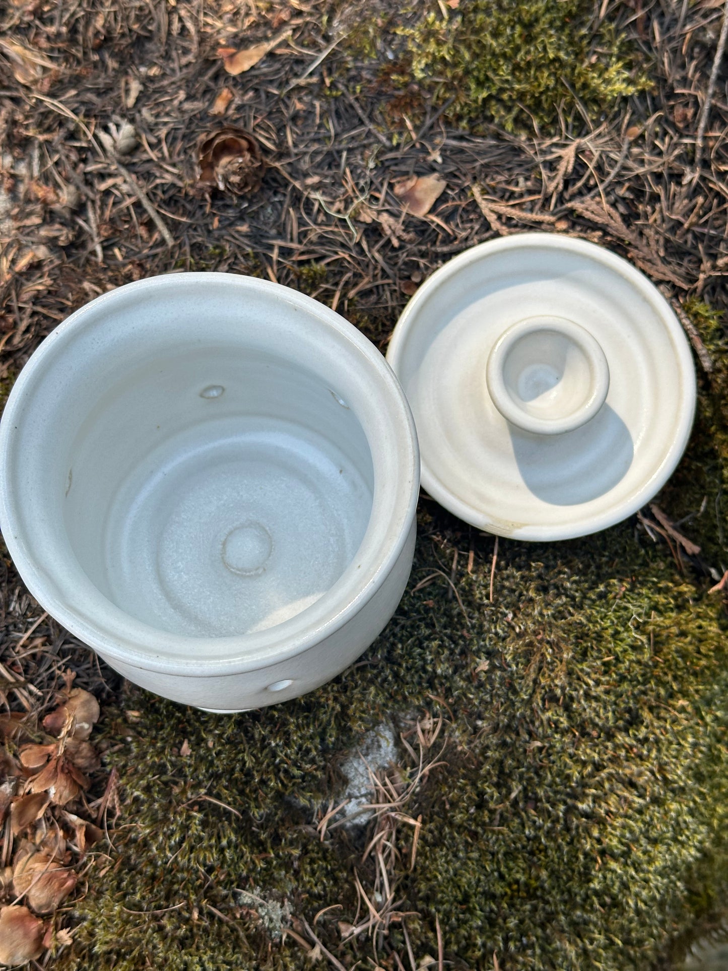Pottery (Ceramic) White Bellied Garlic Keeper