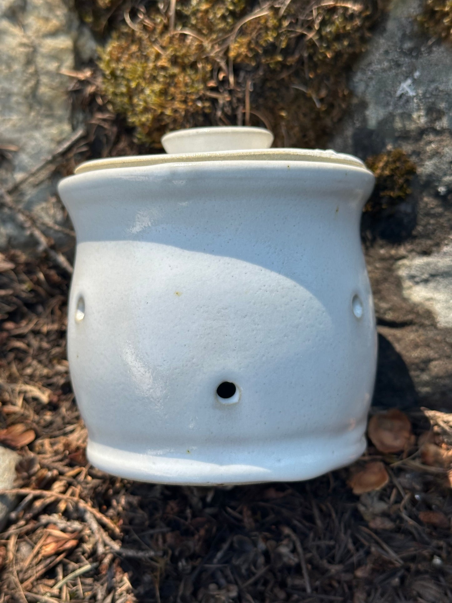 Pottery (Ceramic) White Bellied Garlic Keeper