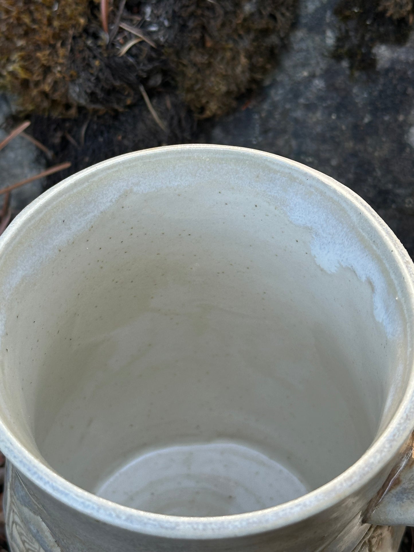 Mystical Mushrooms Pearl Pottery/Ceramic Mug approx. 16 oz. (250005)