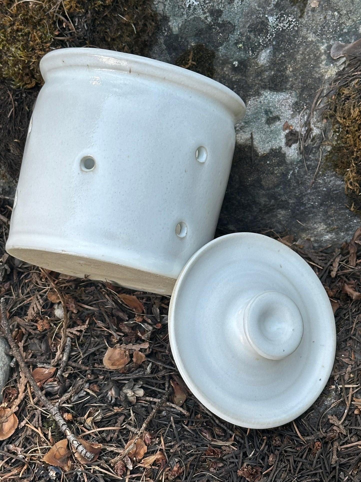 Pottery (Ceramic) White Straight Side Garlic Keeper