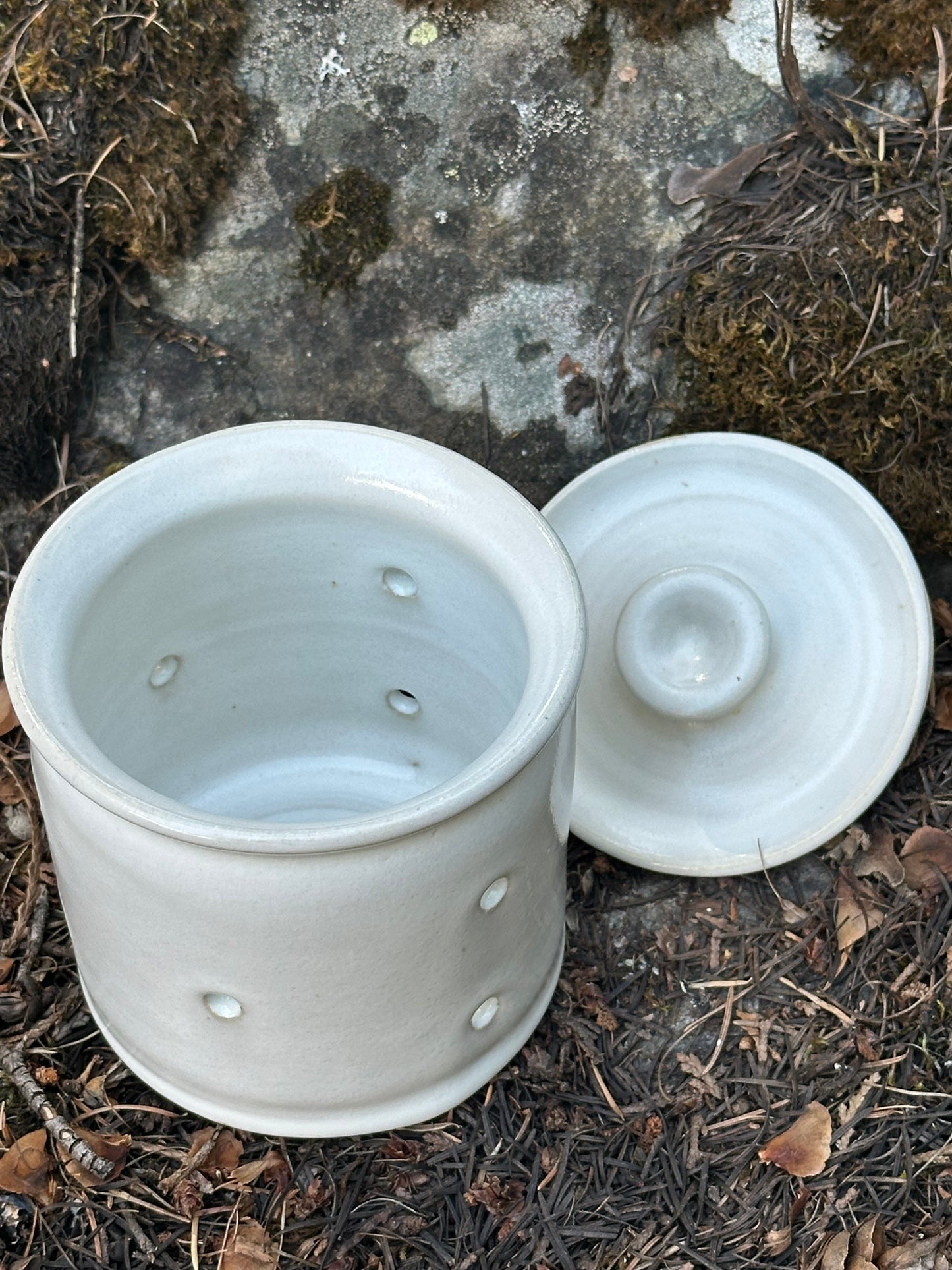 Pottery (Ceramic) White Straight Side Garlic Keeper